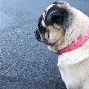 Meet your Posher, Clare